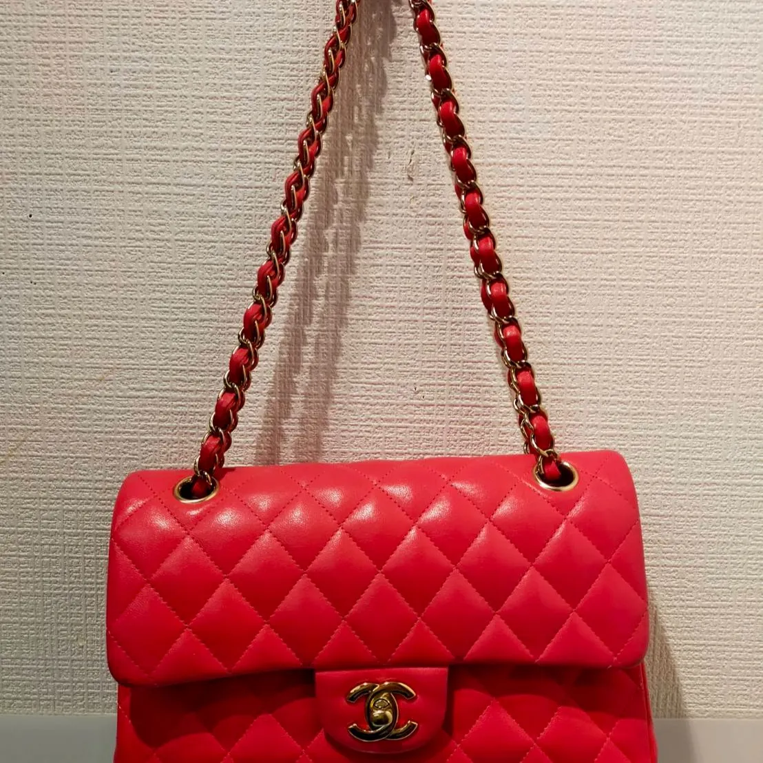 【期間限定！✨】 